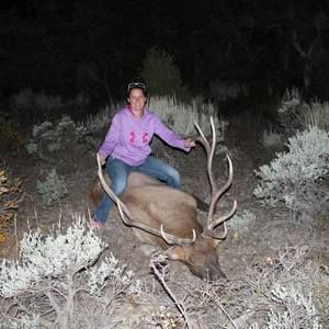 Meet your Posher, Bridget